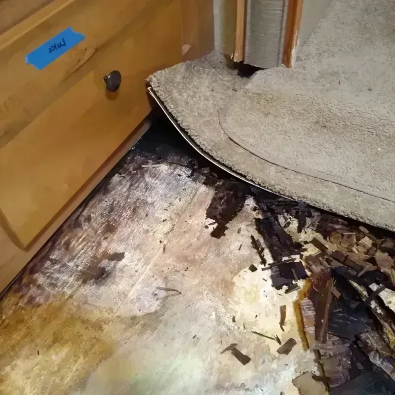 Best Wood Floor Water Damage Service in Waycross, GA